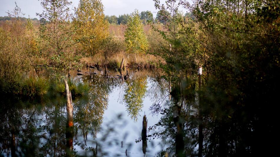 EU-Naturschutzsgesetz auf der Kippe