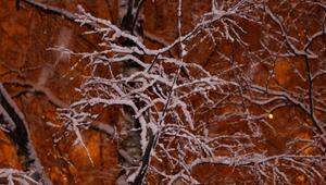 Erster Schnee im Oktober ist möglich