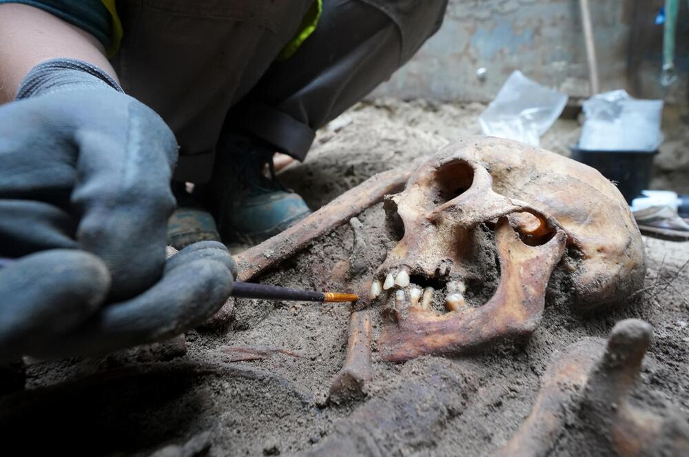 Archäologin reinigt mit einem Pinsel das Gebiss eines Totenkopfs in der Grabungsstelle