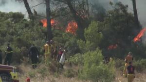 Riesiger Waldbrand im Süden Frankreichs unter Kontrolle