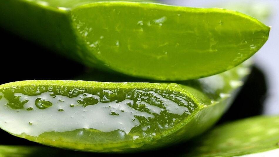 Aloe-vera-Gel