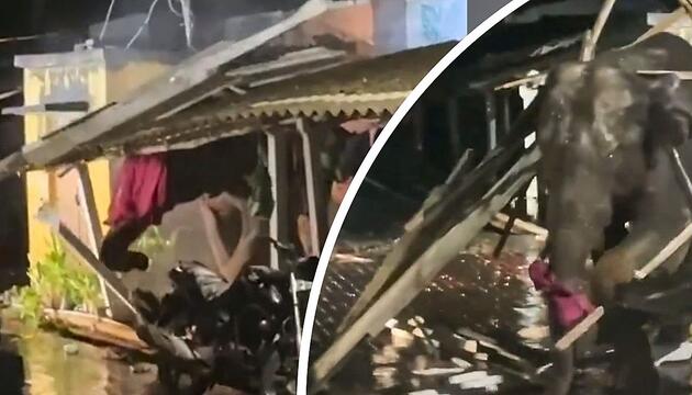 Nächtliche Randale: Elefant marschiert durch Wellblechhaus