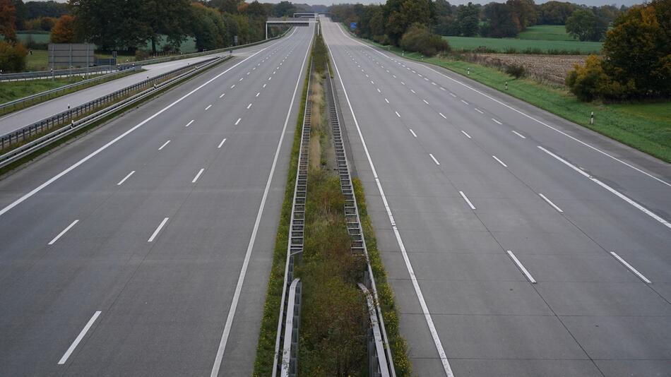 Durch Unfall verstörter Hund stoppt Verkehr auf Autobahn