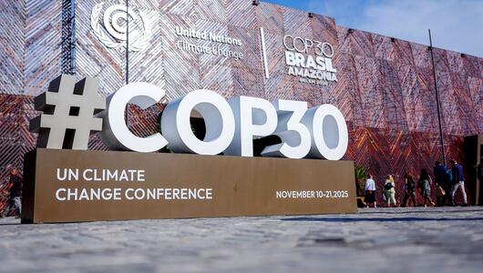 Weltklimakonferenz COP30