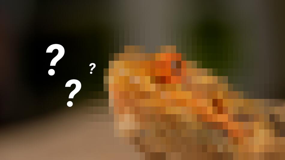 Welches Tier suchen wir?