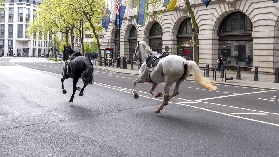 Pferdevorfall in London