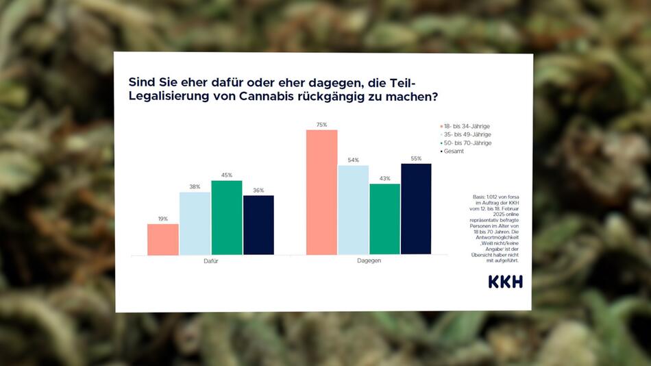 Mehrheit will, dass Cannabis legal bleibt – Politische Debatte nimmt Fahrt auf