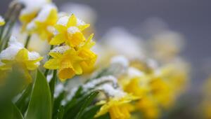 Wetter in Baden-Württemberg
