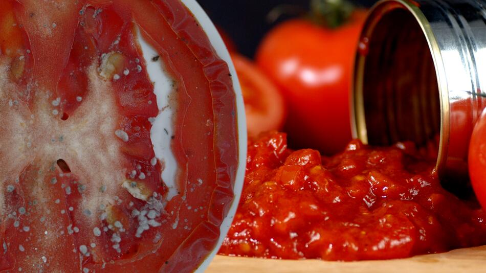 Ökotest: Schimmelpilze in Tomatensoßen entdeckt