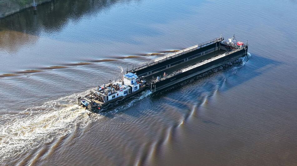 Biologe: Heikler Plan ist nicht nur für den Wal gefährlich