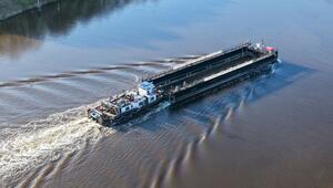 Weitere Entwicklung zum Buckelwal in der Ostsee