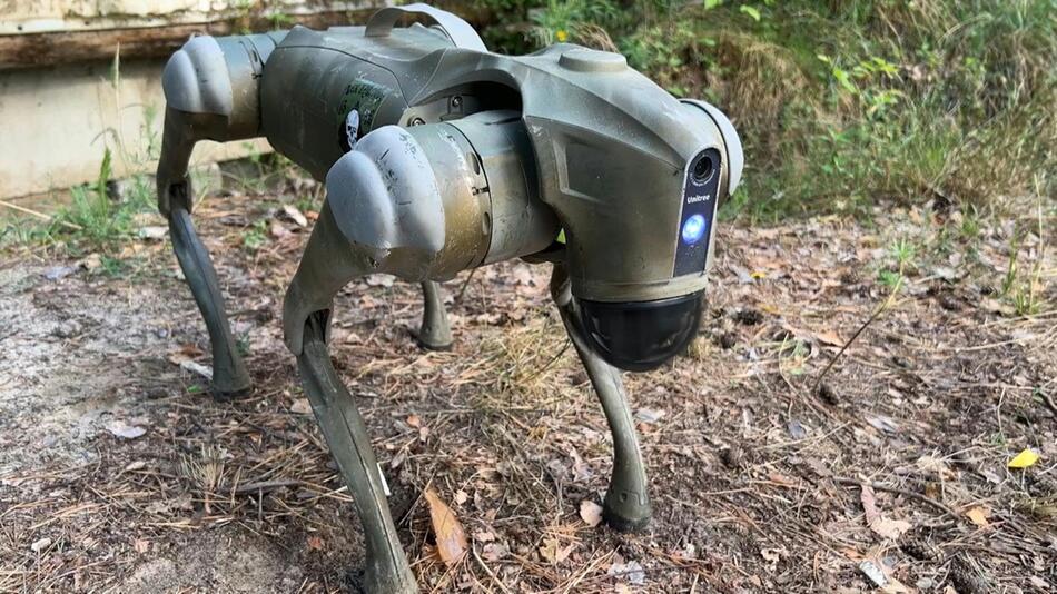 Roboterhund