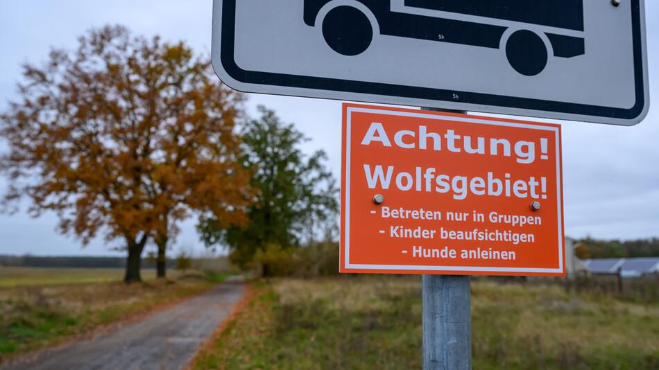 Wölfe in Deutschland