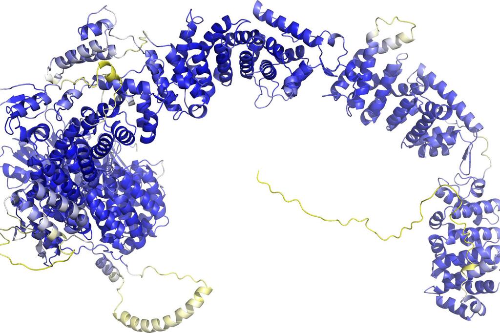 Protein DnaJ13