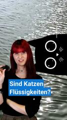 Sind Katzen Flüssigkeiten?