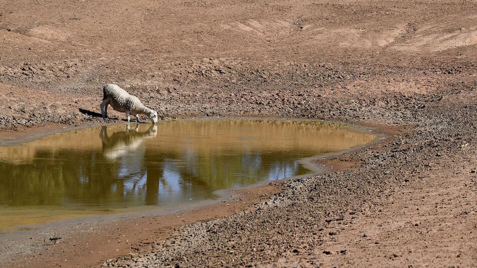 DWD warnt vor Rekord-El-Niño – diese Folgen drohen