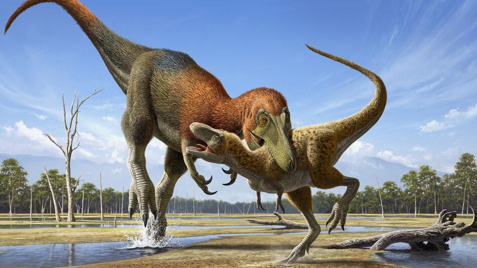 Nanotyrannus