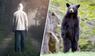Bildmontage: Mann und Bär im Wald