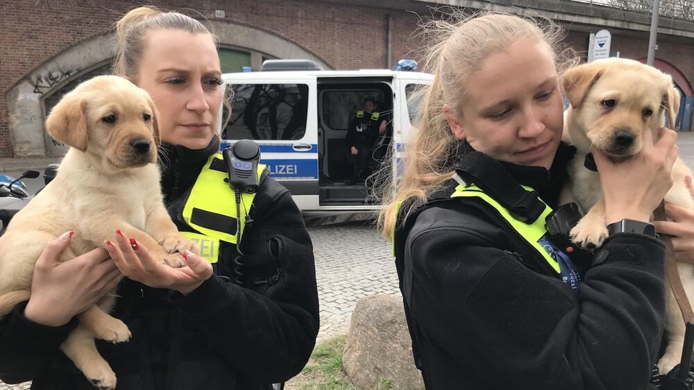 Polizei nicht genug geschult für solche Einsätze.