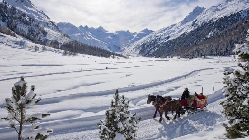 Pferdeschlittenfahrt mit Gletscher-Panorama