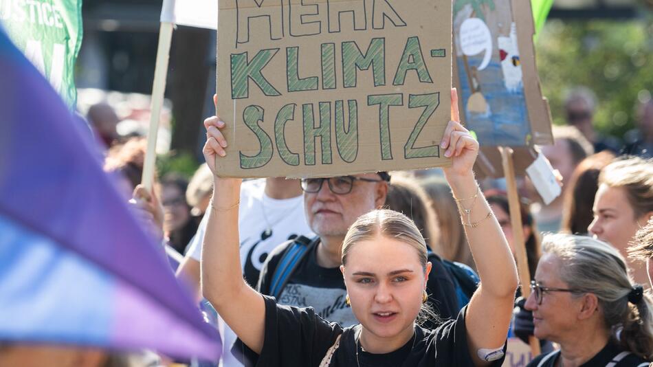 In vielen Städten kam es zum "Klimastreik" (hier: Frankfurt/Main)