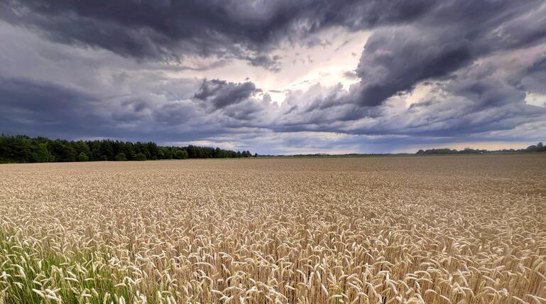 Wetter