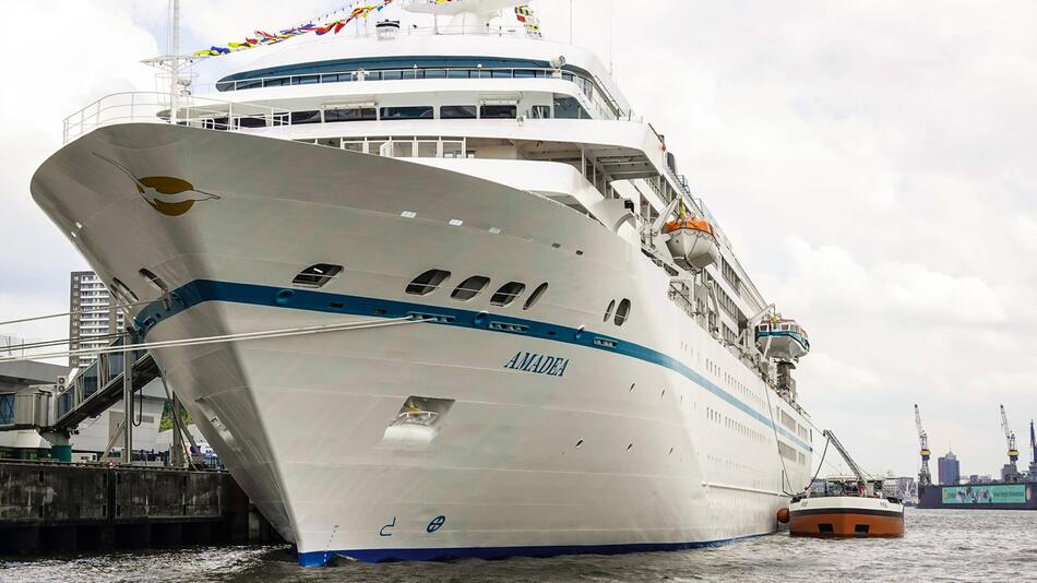 Hygiene-Check auf dem "Traumschiff" – Behörde deckt Mängel auf