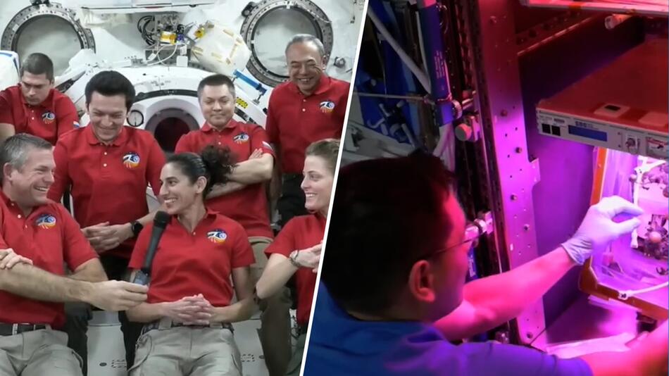 Weltraum-Rätsel gelöst: Astronaut Frank Rubio entlastet – verschwundene Tomate gefunden
