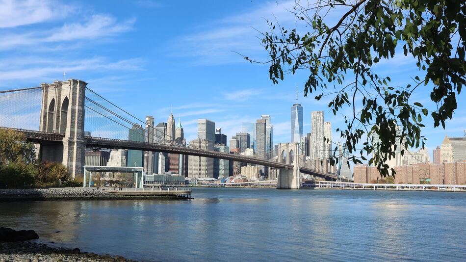 Rattenplage? Was sich aus Flussproben herausfinden lässt
