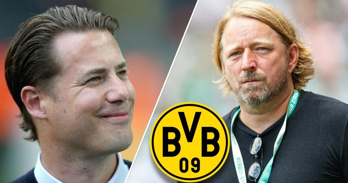 BVB: Ricken Wird Geschäftsführer Sport – Mislintat Ist Zurück | GMX