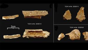 Knochen aus dem Pest-Massengrab