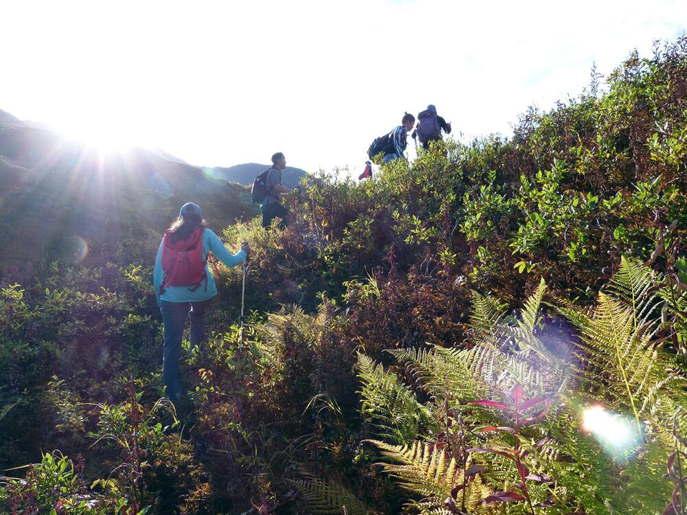 Bushwacking in Alaska