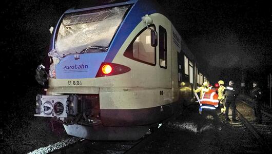 Regionalexpress kollidiert mit Baum