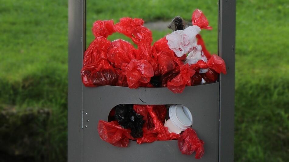 Hundehaufen sind oft ein Grund zum Ärgernis.