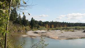 Isar