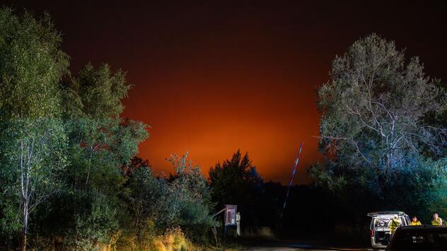 Waldbrand in Belgien