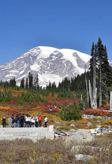 Gelände um den Mount Rainier