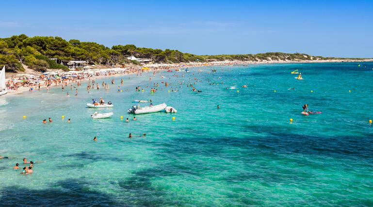  Sant Josep