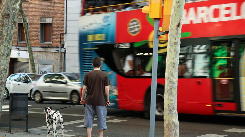 Ist Gassigehen in der Stadt stressig für Hund?