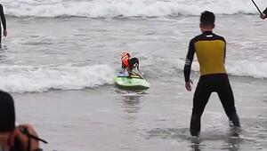 Wellenreiten auf vier Pfoten: Kalifornien kürt die besten Hundesurfer der Welt