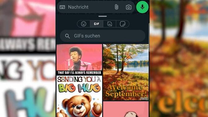 GIFs senden Whatsapp