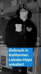 Einbrecher in Kalifornien stehlen Labubus