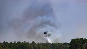 Waldbrand in der Gohrischheide