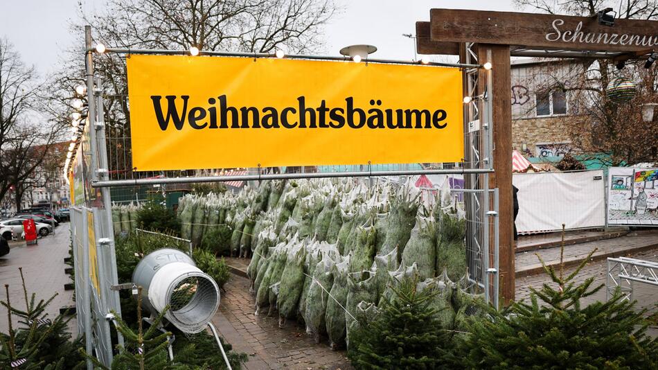 Weihnachtsbäume