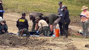 Tödliches Tierheim: Ermittler entdecken Massengrab mit 117 Hunden in Kalifornien