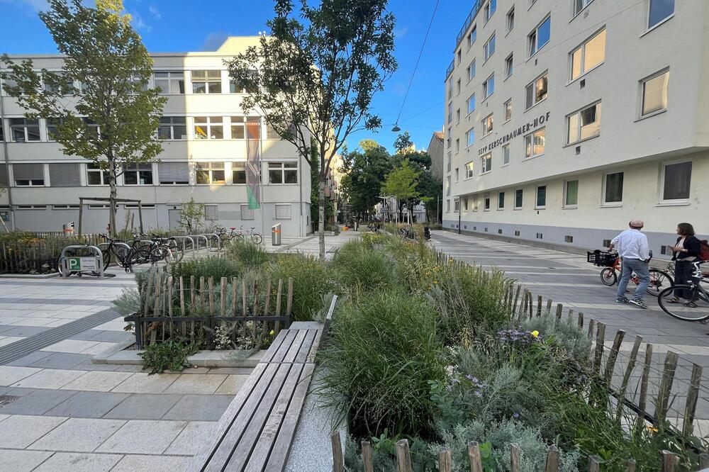 Ich war mal ein Lehrerparkplatz: In der Pfeilgasse wurden Bäume, Gräser und Blumen gepflanzt ...