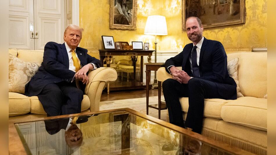 Donald Trump (l.) und Prinz William trafen sich in der britischen Botschaft in Paris.