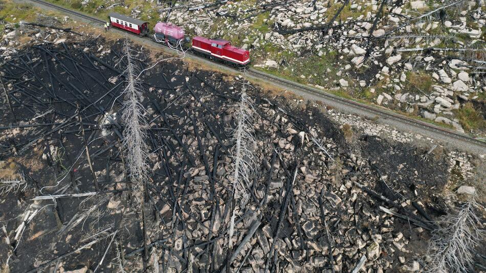 Brockenbrand: Rund 17 Hektar Wald im Nationalpark vernichtet