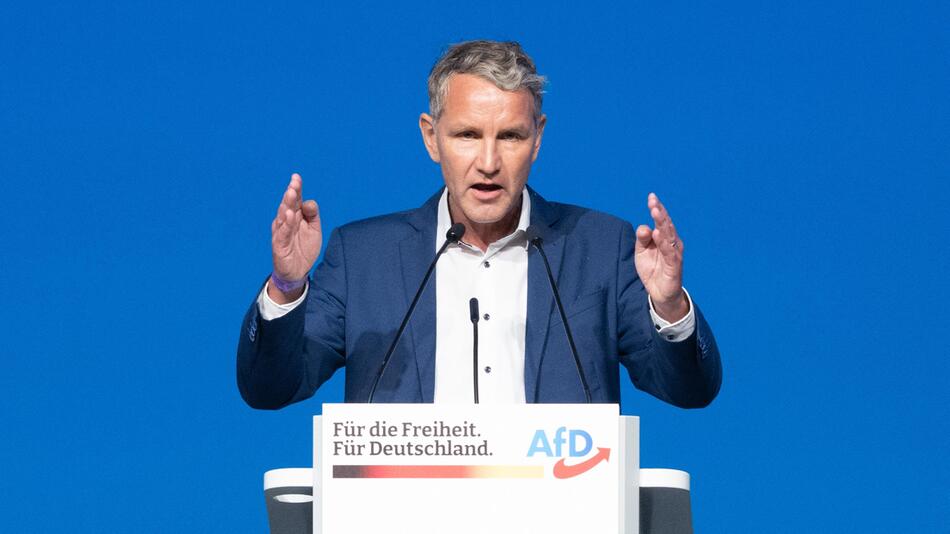 Björn Höcke, AfD