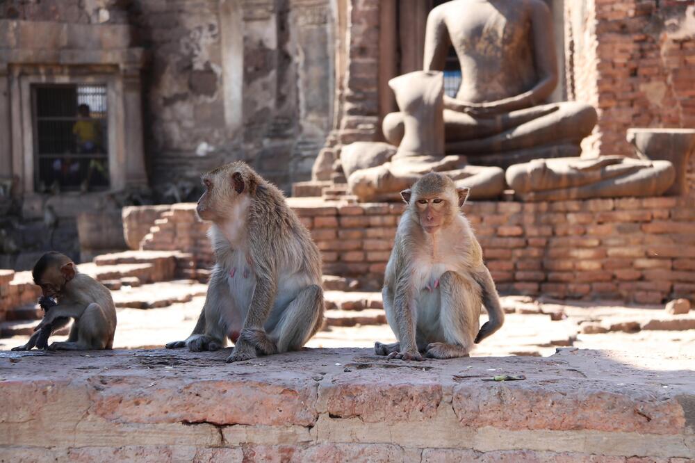 Phra Prang Sam Yot